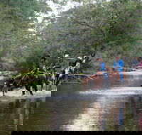 The Man From Snowy River Bush Festival - Accommodation Port Hedland