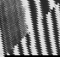 WA Now  Tom Mller Monolith Scores - Accommodation Port Hedland