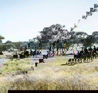 Weddin Mountain Muster - Accommodation Port Hedland