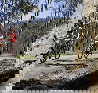 Wollombi Wild Ride Mountain Bike Ride - Accommodation Port Hedland