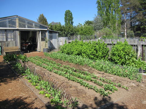 All Season Cold Climate Organic Vegetable Growing - Accommodation Port Hedland 1