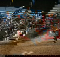 Black Opal Bull and Bronc Ride - Accommodation Port Hedland