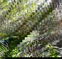 Bottlebutt Bash Trail Run - Accommodation Port Hedland