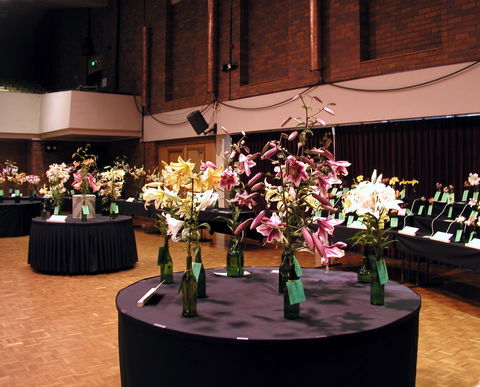 Burnie Lilium Show - Accommodation Port Hedland 0