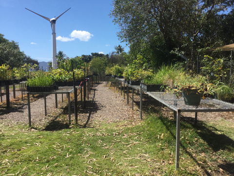 Conservation Volunteers Australia Townsville - Ocean View Nursery - Accommodation Port Hedland 0