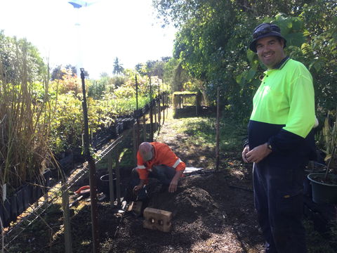 Conservation Volunteers Australia Townsville - Ocean View Nursery - Accommodation Port Hedland 1