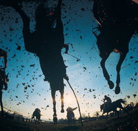 Cootamundra Cup