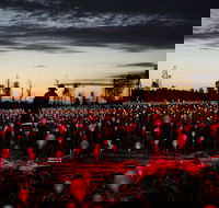 Field of Light Uluru - Accommodation Port Hedland
