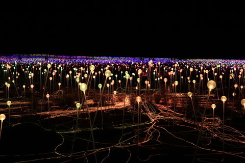 Field Of Light Uluru - Accommodation Port Hedland 1