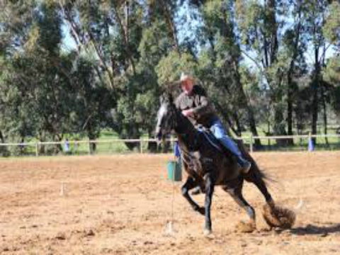 Glen William Gymkhana - Accommodation Port Hedland 1