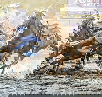 Gundagai Rodeo - Accommodation Port Hedland