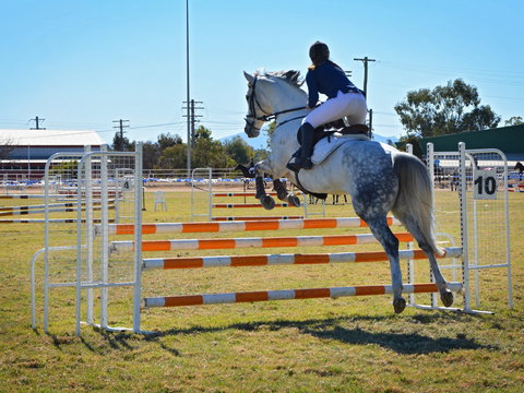 Gunnedah Showjumping Festival - Accommodation Port Hedland 1