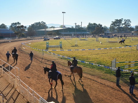 Gunnedah Showjumping Festival - Accommodation Port Hedland 2