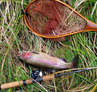 Guyra TroutFest