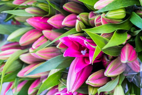 Harvest Launceston Community Farmers' Market - Accommodation Port Hedland 0
