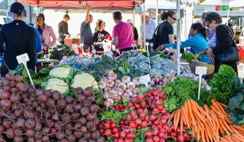 Harvest Launceston Community Farmers' Market - Accommodation Port Hedland 2