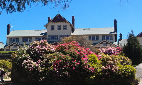 Hedonistic Hiking's Mount Buffalo Hike And Picnic - Accommodation Port Hedland 1
