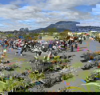 Hobart Showground Sunday Market - Weekly - Accommodation Port Hedland