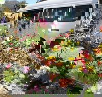 Johns River Country Markets - Accommodation Port Hedland