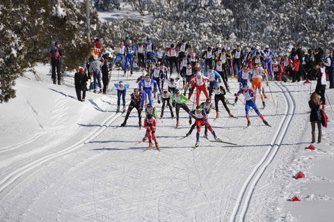 Kangaroo Hoppet - Accommodation Port Hedland 1