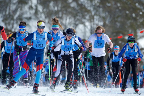 Kangaroo Hoppet - Accommodation Port Hedland 2