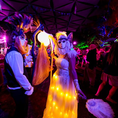 Mushroom Valley Festival - Accommodation Port Hedland 1