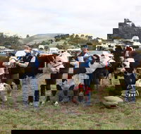 Noorat Show - Accommodation Port Hedland