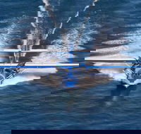 Rathmines Catalina Festival - Accommodation Port Hedland