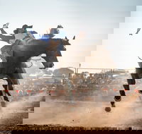 Rodeo by the Sea - Streaky Bay - Accommodation Port Hedland