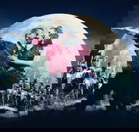 Spirit Of The Dance - Accommodation Port Hedland