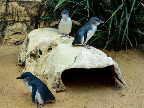 Sydney's Aquarium - Accommodation Port Hedland 2