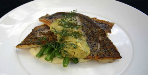 Aquarius Seafood Restaurant - Accommodation Port Hedland 2