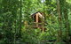 The Canopy Rainforest Treehouses And Wildlife Sanctuary - thumb 1