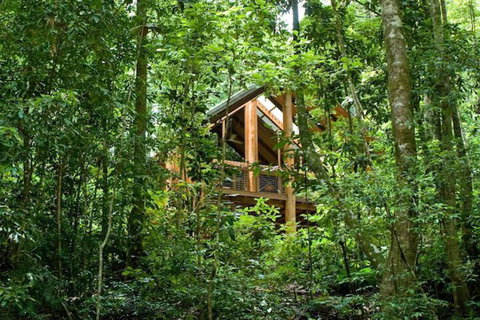 The Canopy Rainforest Treehouses And Wildlife Sanctuary - Accommodation Port Hedland 1