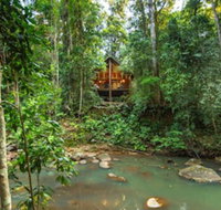 The Canopy Rainforest Treehouses and Wildlife Sanctuary - Accommodation Port Hedland