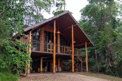 The Canopy Rainforest Treehouses And Wildlife Sanctuary - Accommodation Port Hedland 3