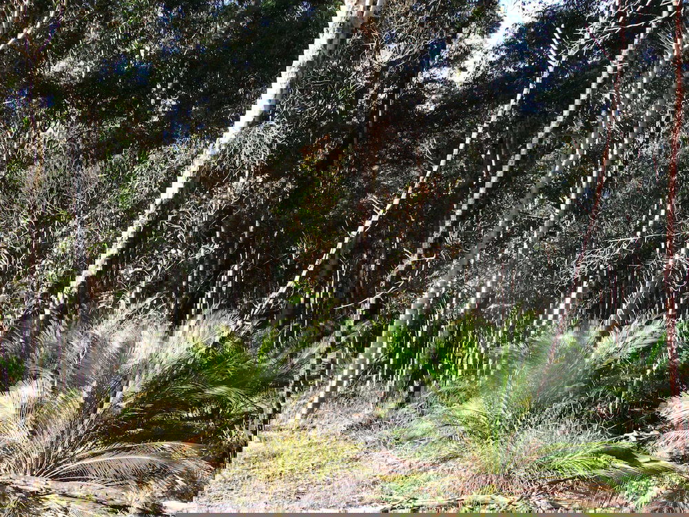  Accommodation Port Hedland