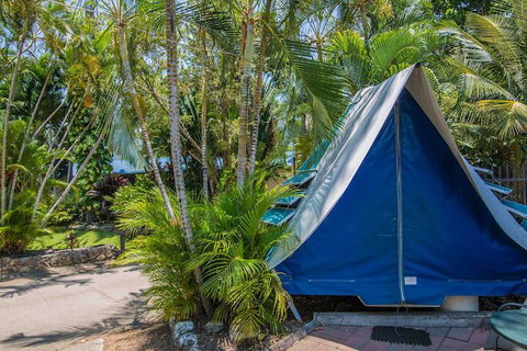 Tasman Holiday Parks - Airlie Beach - Accommodation Port Hedland 5