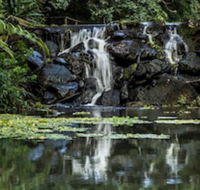 Kondalilla Eco Resort - Accommodation Port Hedland