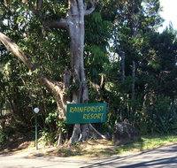 Byron Bay Rainforest Resort - Accommodation Port Hedland