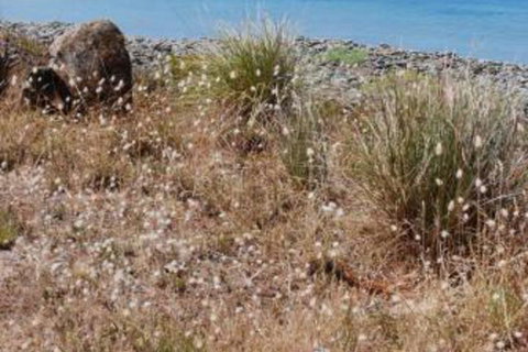 Schouten House - Accommodation Port Hedland 0