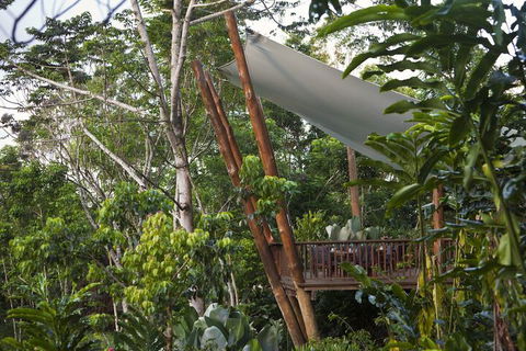 Rose Gums Wilderness Retreat - Accommodation Port Hedland 2