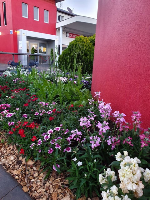 City Golf Club Motel - Accommodation Port Hedland 2