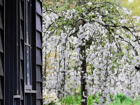 Acheron Valley Country Estate - Accommodation Port Hedland 1