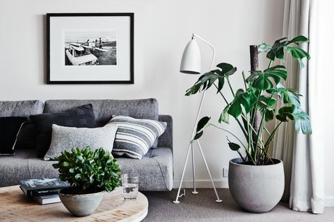 Cumberland Lorne Resort - Accommodation Port Hedland 4