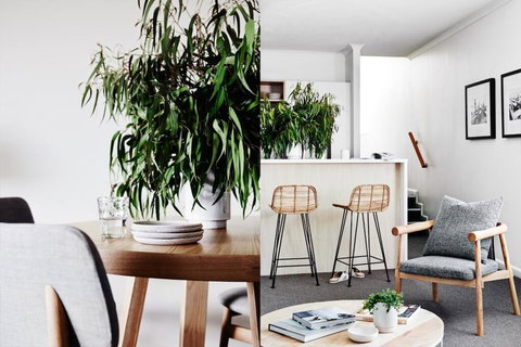 Cumberland Lorne Resort - Accommodation Port Hedland 2