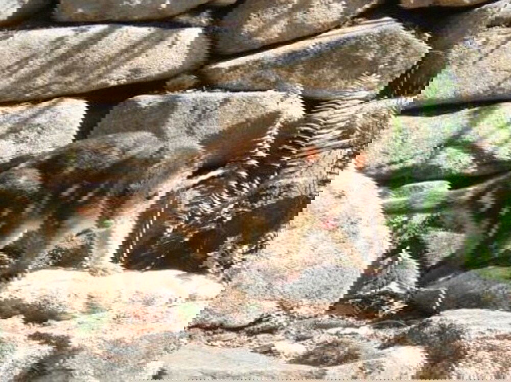  Accommodation Port Hedland