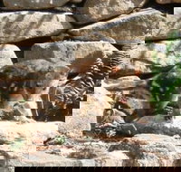 Jenolan Caves House - Accommodation Port Hedland