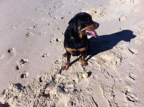 The Beach Townhouse - Accommodation Port Hedland 1