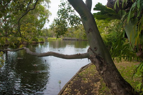 Northlakes Studio - Accommodation Port Hedland 4